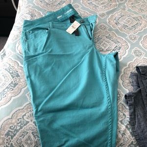 Lane Bryan Brand New Teal Skinny Jeans